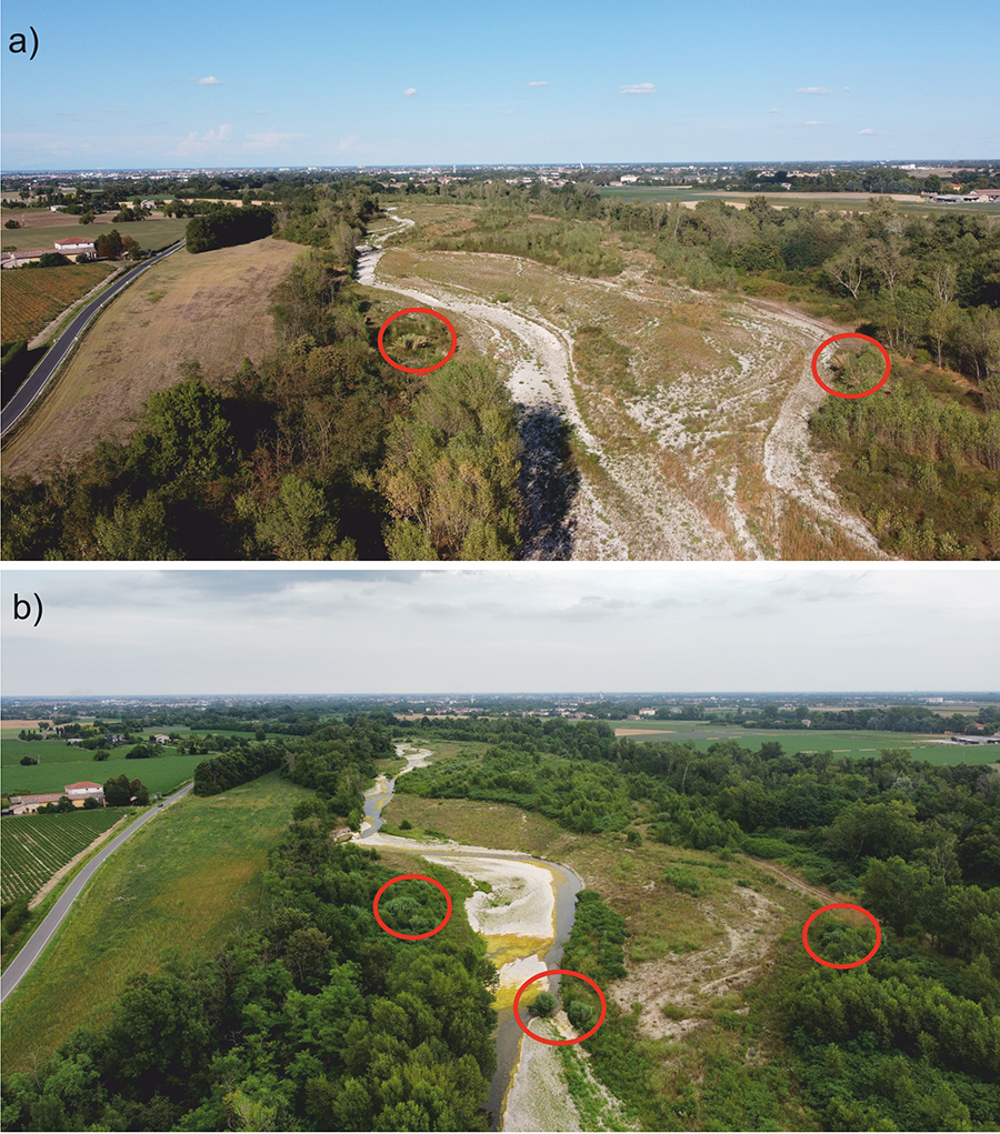 Example of intermittent stretch with a) dry riverbed (late summer 2021) and b) wet channel (early summer 2023)