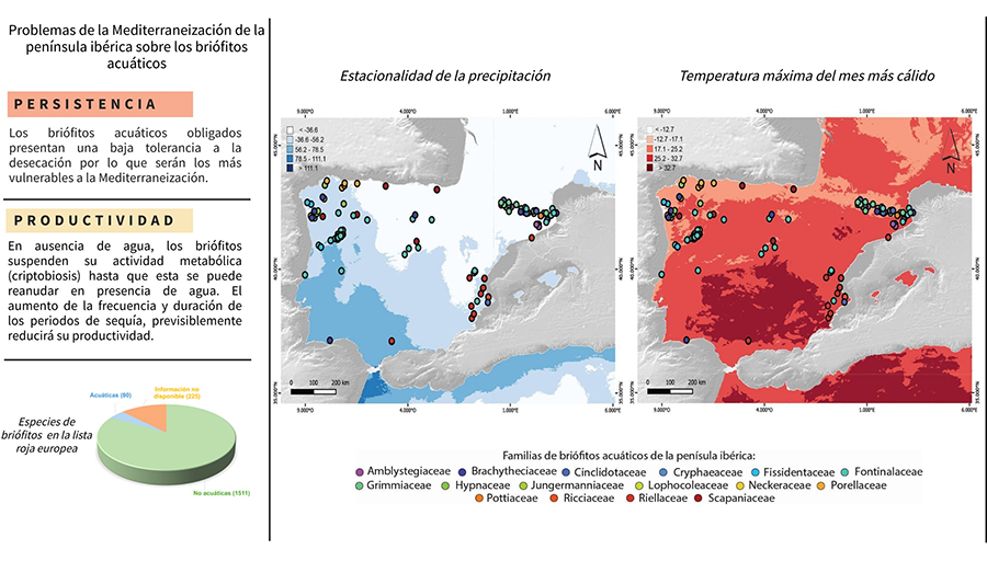 Interfaz de usuario gráfica, Aplicación, Sitio web, Mapa


