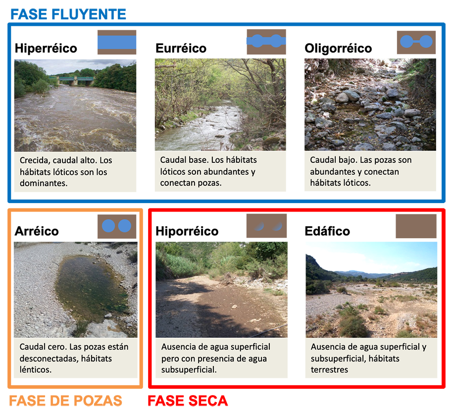 Estados acuáticos según Gallart et al. (2012) agrupados según si corresponden a la fase fluyente, de pozas desconectadas o a la fase de cauces secos. Créditos: MIRAGE and TRivers projects.