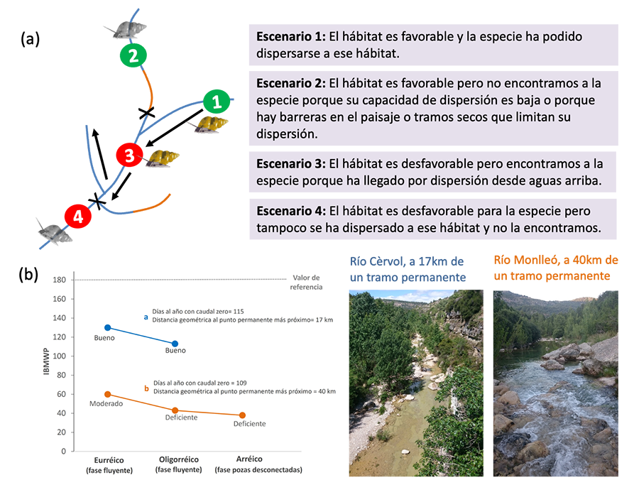 Escenarios posibles para el desarrollo de índices biológicos en ríos temporales