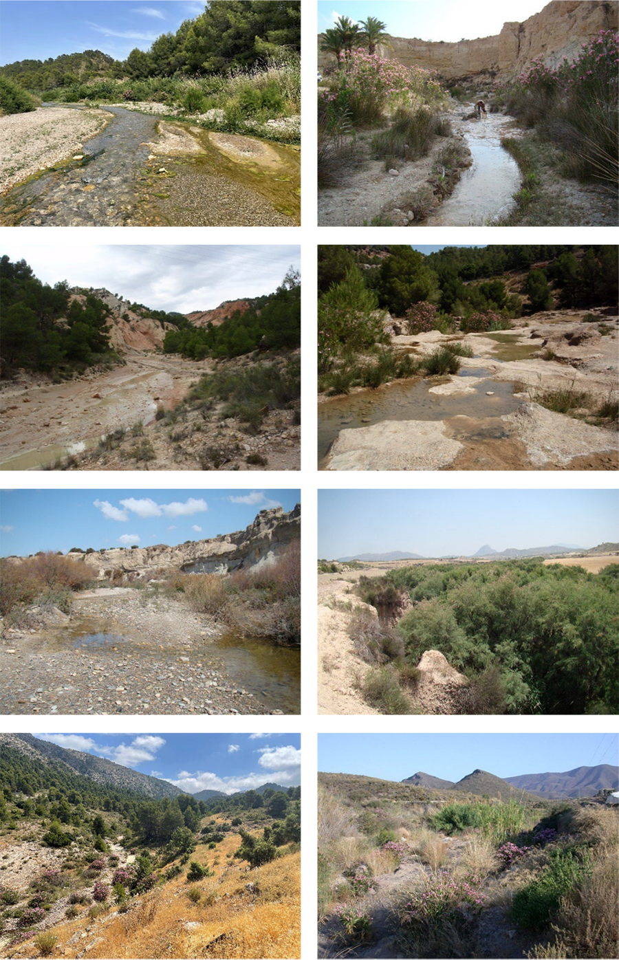 Distintos tipos de ríos no permanentes del sureste ibérico