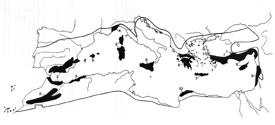 Zonas de alta diversidad vegetal en
la cuenca Mediterránea