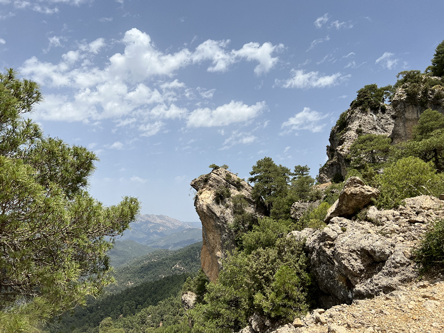 El Parque Natural Sierras de Cazorla, Segura y Las Villas, en la provincia de Jaén, alberga un elevado número de endemismos y concentra el mayor conocimiento sobre las interacciones de las plantas con herbívoros, polinizadores y dispersantes de semillas de todo el Mediterráneo