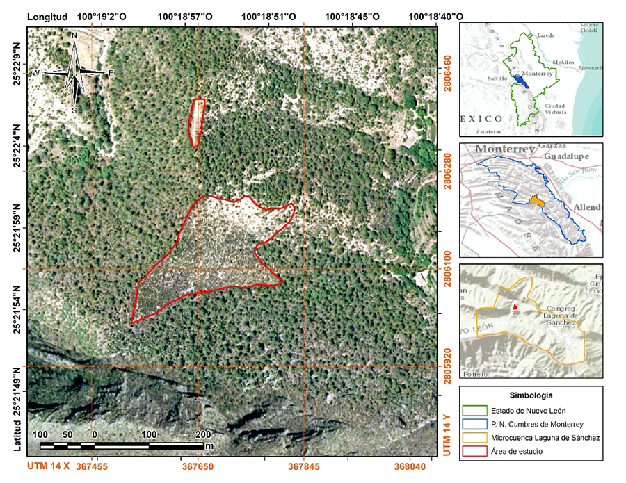 Área reforestada en el Parque Nacional Cumbres de Monterrey, México