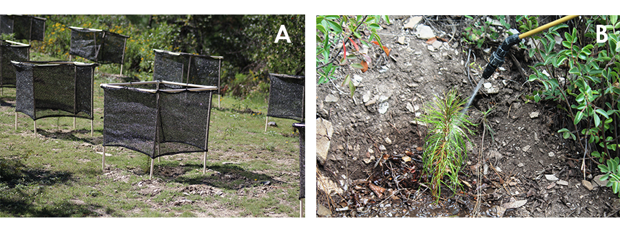 Malla atrapaniebla (A) y riego de auxilio (B)