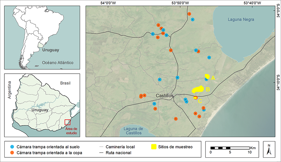  Figura 1. Área de estudio. Establecimientos ganaderos en el ecosistema de palmares de Butiá (Butia odorata), Rocha, Uruguay. 
