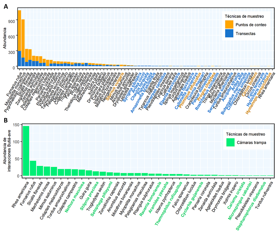  Figura 1. Área de estudio. Establecimientos ganaderos en el ecosistema de palmares de Butiá (Butia odorata), Rocha, Uruguay. 