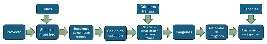Esquema de la estructura y flujo de
trabajo de Camelot