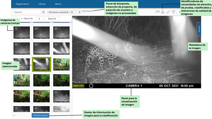 Panel para la visualización de la
imagen