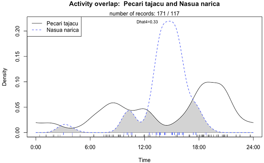 Ejemplo de superposición temporal de
los patrones diarios de actividad para Nasua narica y Pecari tajacu