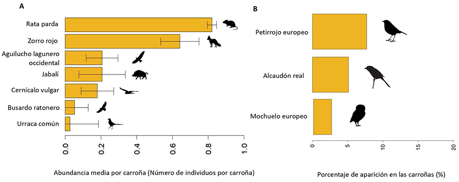 Overview of the demographic diversity of the survey sample by gender (left) and age (right)