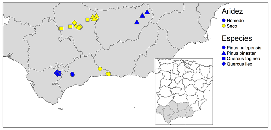 Distribución de las parcelas seleccionadas para las cuatro especies forestales estudiadas (símbolos diferentes para cada una de ellas) en dos situaciones contrastadas de aridez: Húmedas (Azul) y Secas (Amarillo) en el sur de la península ibérica