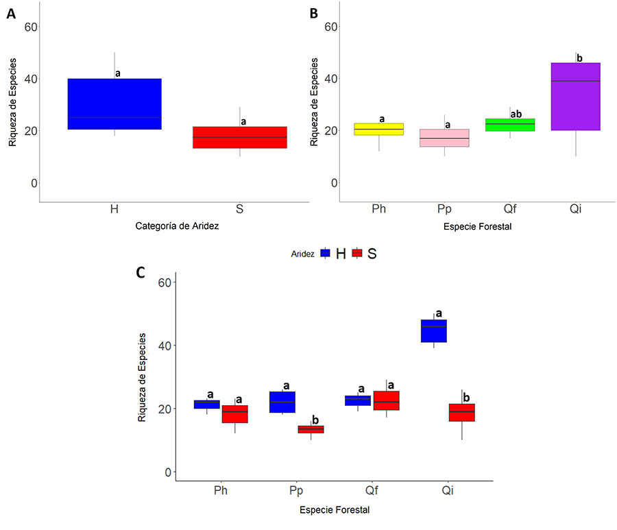 Variación de la riqueza de morfoespecies de artrópodos con (A) el grado de aridez (H: húmedo; S: seco), (B) la especie forestal, (C) grado de aridez para cada especie forestal. (Ph: P. halepensis; Pp: P. pinaster; Qf: Q. faginea; Qi: Q. ilex). Con letras distintas se indican las diferencias estadísticas encontradas mediante test de Tukey (p<0.05) entre los dos grados de aridez para cada especie forestal 