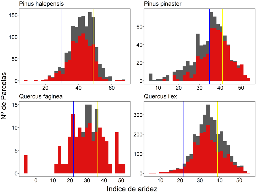 Distribución de las parcelas de las cuatro especies estudiadas. En color gris todas las parcelas del IFN3 en Andalucía, en rojo aquellas parcelas que se encuentran en zonas conservadas. Las líneas azul y amarilla representan los niveles de aridez de las parcelas en el extremo húmedo (azul) y seco (amarillo), que se han muestreado en este trabajo