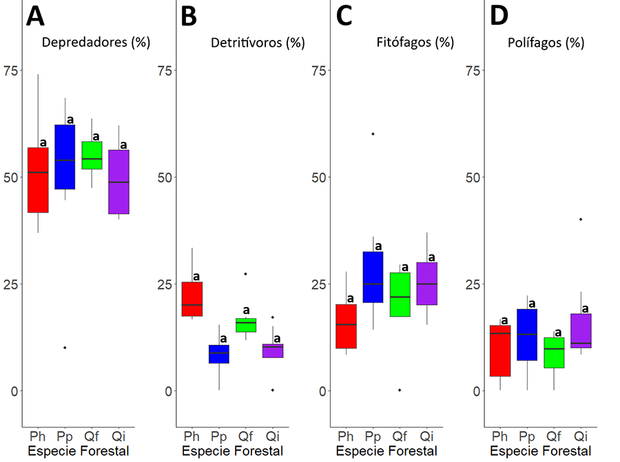 Variación de la proporción de depredadores (A), detritívoros (B), fitófagos (C) y polífagos (D) con relación al tipo de bosque. Grupos con distintas letras indican que hay diferencias significativas (p<0.05).