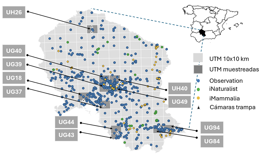 Provincia de Córdoba (en negro sobre el mapa de España) dividida en cuadrículas UTM 10x10 km (gris claro)