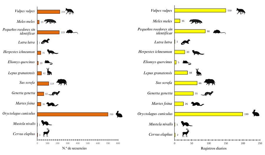 Número total de registros de secuencias (izquierda) y de registros diarios por cámara (derecha) para cada especie registrada mediante fototrampeo.
