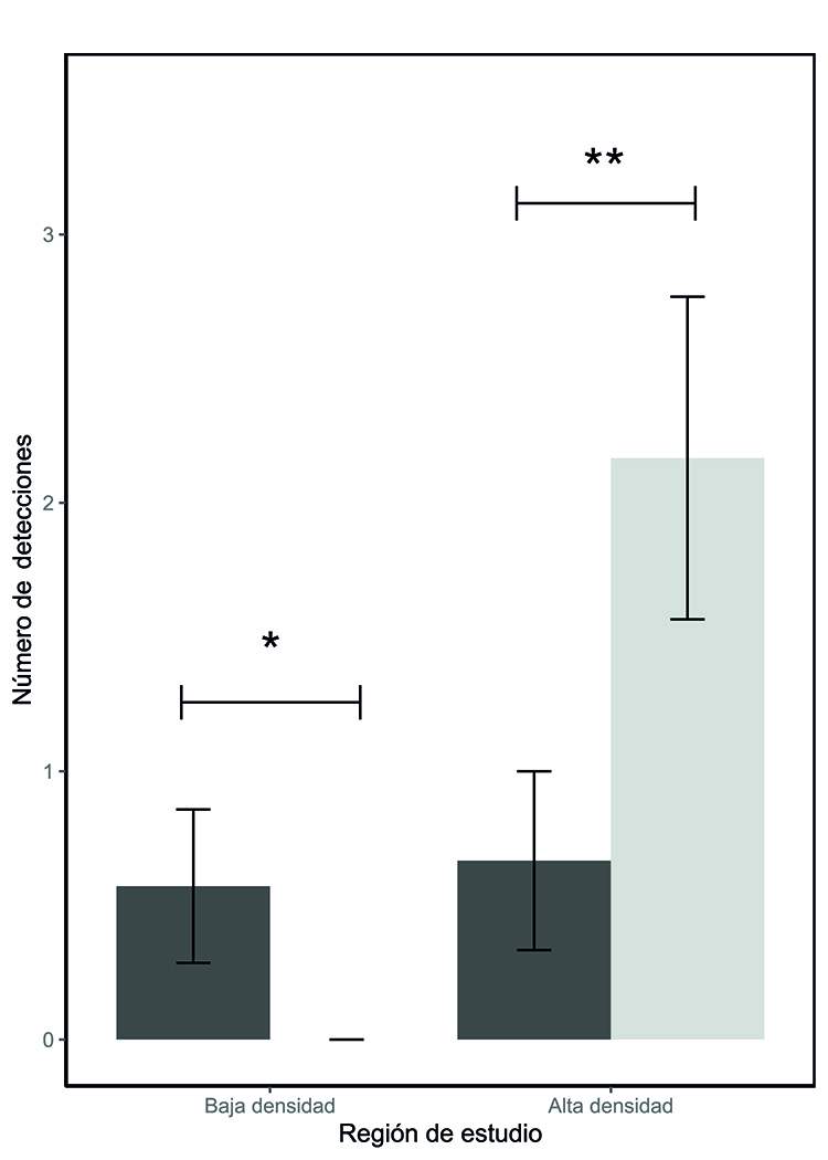 Número de detecciones de tejón (Meles meles) en función del método de muestreo (fototrampeo frente a conteo de letrinas) en las regiones de baja (sureste de Madrid) y alta densidad (Galicia).