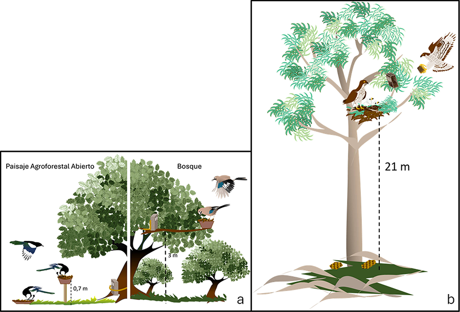 Este estudio evalúa sistemas de fototrampeo
instalados en circunstancias ambientales y de trabajo contrastadas