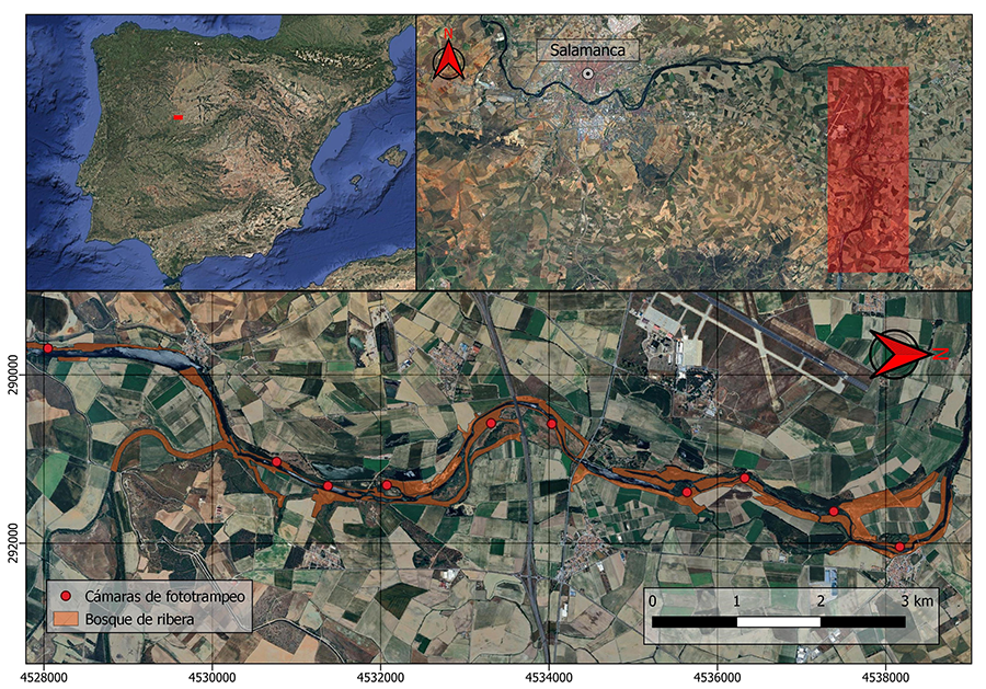 Mapa del área de estudio al oeste de la provincia de Salamanca (España)