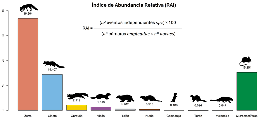 Índice de Abundancia Relativa (RAI) para las especies de mesocarnívoros y micromamíferos detectados durante el estudio