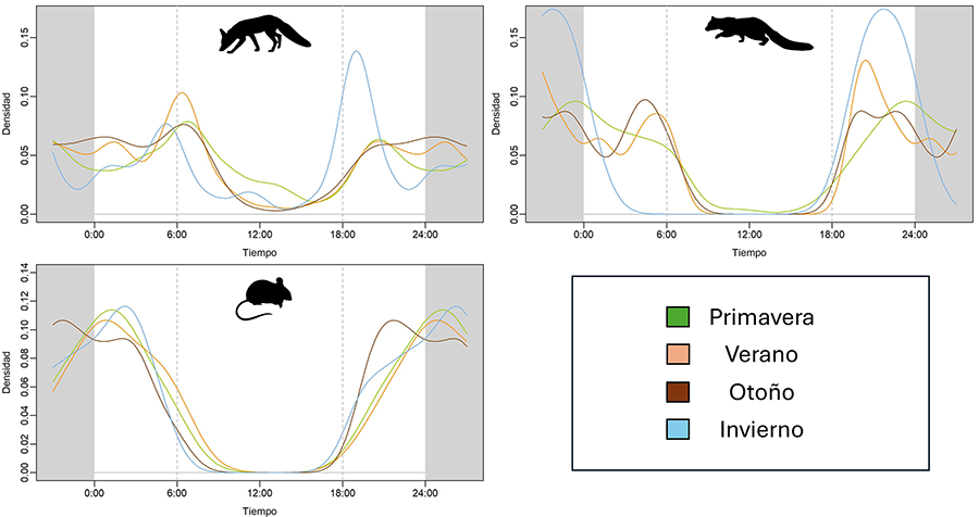 Patrones por estación. Los gráficos a, b y c representan los patrones de actividad de las especies en las diferentes estaciones: línea verde primavera, línea amarilla verano, línea marrón otoño y línea azul invierno