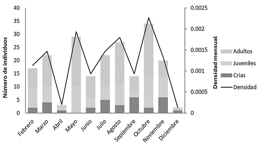 Abundancia y densidad registrada para Anolis barkeri durante el periodo de muestreo