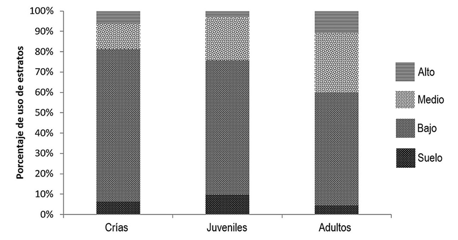 Uso de estrato por clases etarias de Anolis barkeri
