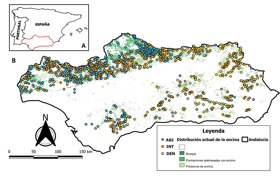 Área de estudio (Andalucía) dentro de la península Ibérica (A); y ubicación de parcelas del tercer Inventario Forestal Nacional (IFN3) clasificadas en Abierto (ABI), Intermedio (INT) y Denso (DEN) dentro de Andalucía (B)