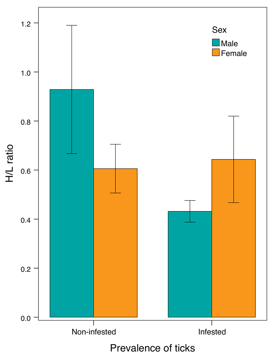 Variation in the heterophil-to-lymphocyte ratio (H/L ratio) between sexes and tick infestation status in P. algirus hosts. The bars show the ± standard error of the mean. Plot show the raw data, but the analyses were carried out with the dependent variable log-transformed.