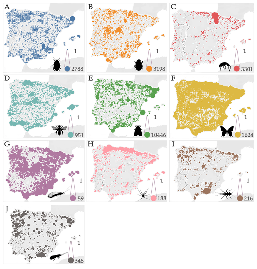 Distribution of the number of records for each taxonomic group