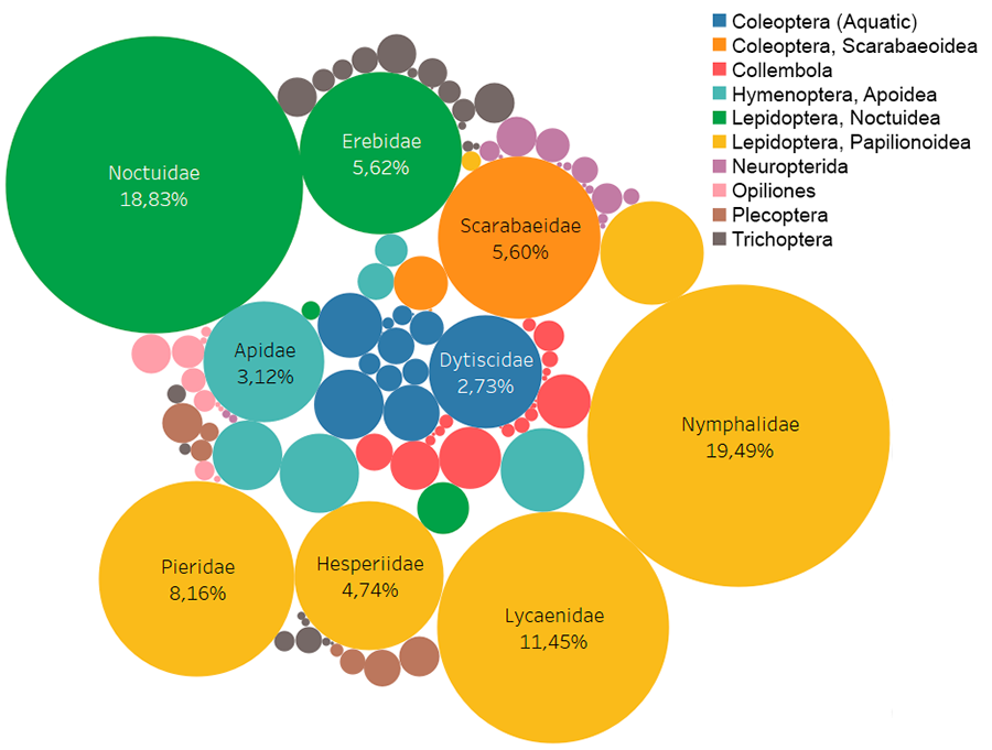 Most recorded families in the IberArthro database. Circle size is proportional to the number of database records for each family