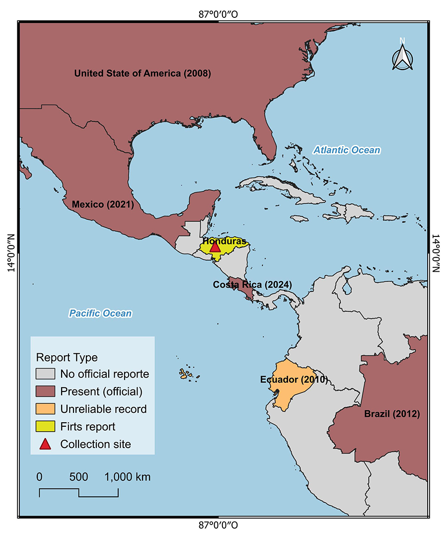 Regional map of D. suzukii reports by date and collection site in the central region of Honduras (La Libertad, Comayagua)