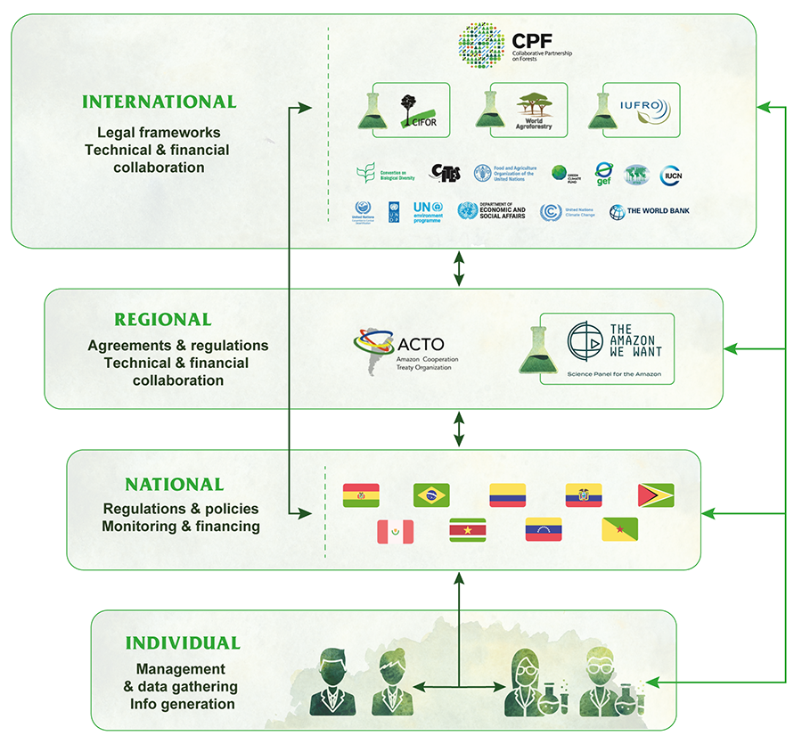 Suggested flowchart of information (black arrows: legal frameworks and policies; red arrows: scientific information) among forest actors (individual scientists and administrators, national authorities, regional forums, and international institutions, including those research-based, marked with flasks) for the Amazonian countries (own elaboration). 