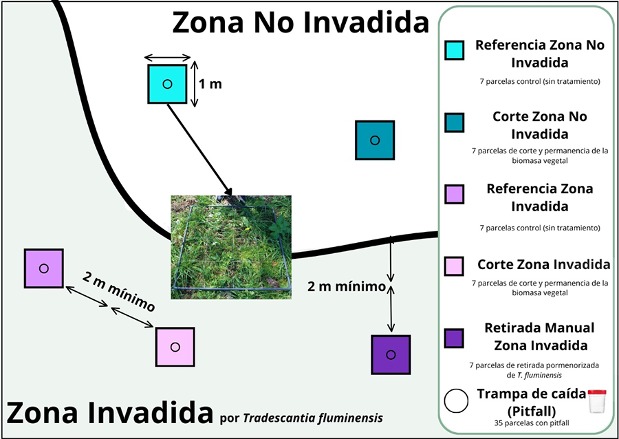 Esquema de diseño experimental. Representación aproximada de las parcelas y tratamientos en cada área de muestreo